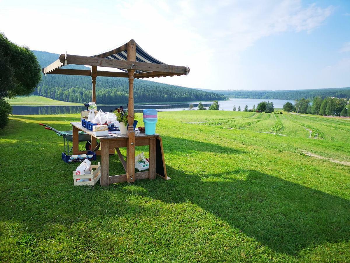 Skatauddens Lantgard Villa Alvsbyn ภายนอก รูปภาพ