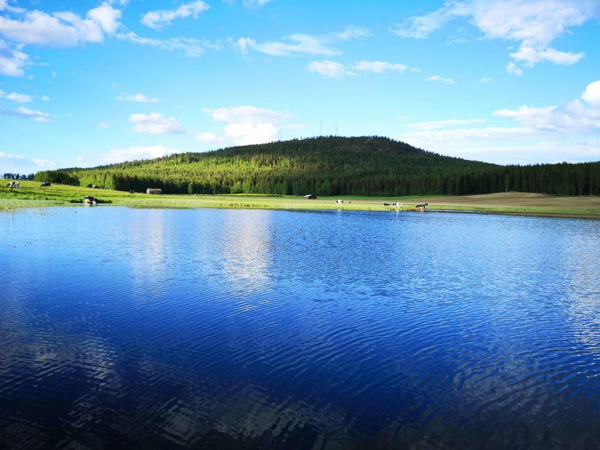 Skatauddens Lantgard Villa Alvsbyn ภายนอก รูปภาพ