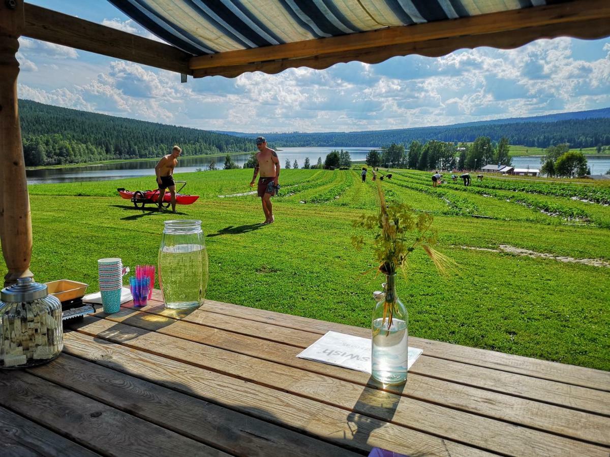 Skatauddens Lantgard Villa Alvsbyn ภายนอก รูปภาพ